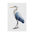 Trademark Fine Art Grace Popp 'Seabird Heron I' Canvas Art, 22x32 WAG07088-C2232GG